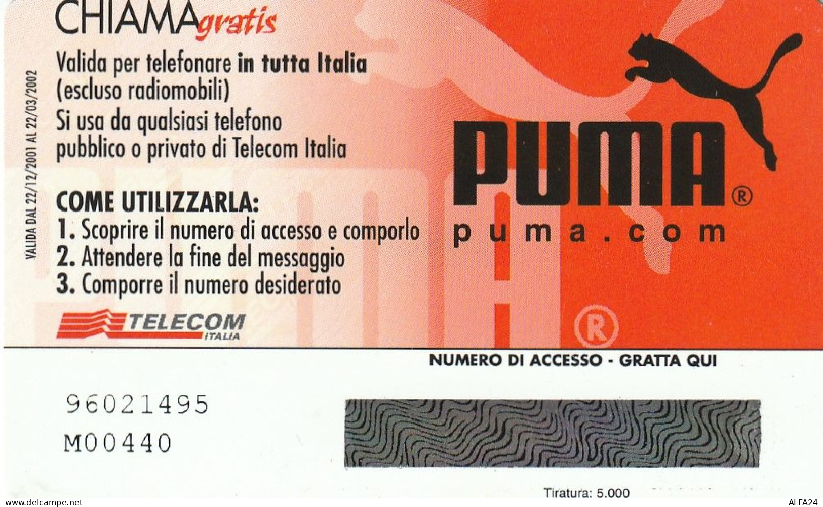 CHIAMAGRATIS MASTER/PROTOTIPO 228 PUMA  (CV1773 - Private - Tribute