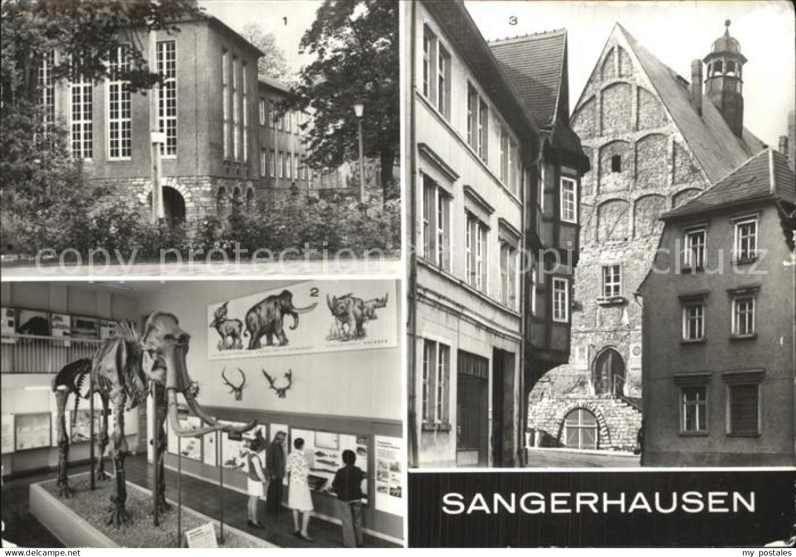 42599376 Sangerhausen Suedharz Spengler Museum Aussenansicht Altmammut Steppenel - Sangerhausen