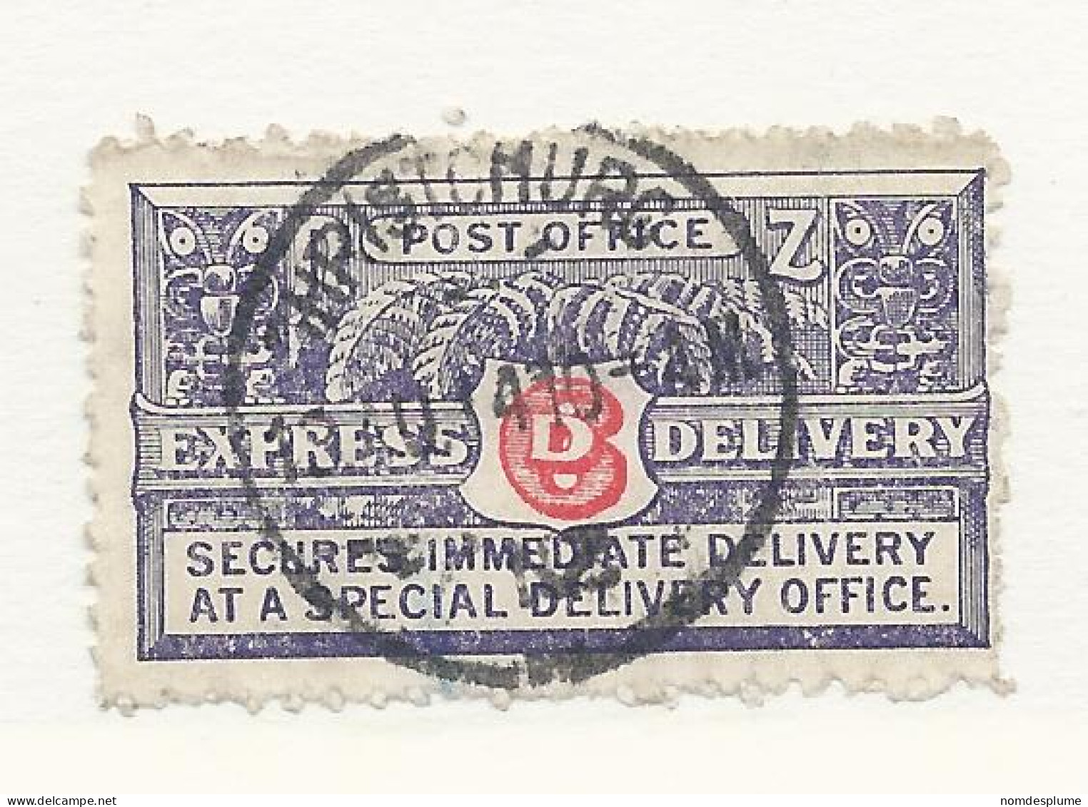 25924) New Zealand 1903 Perforated 11 Special Delivery - Timbres Express