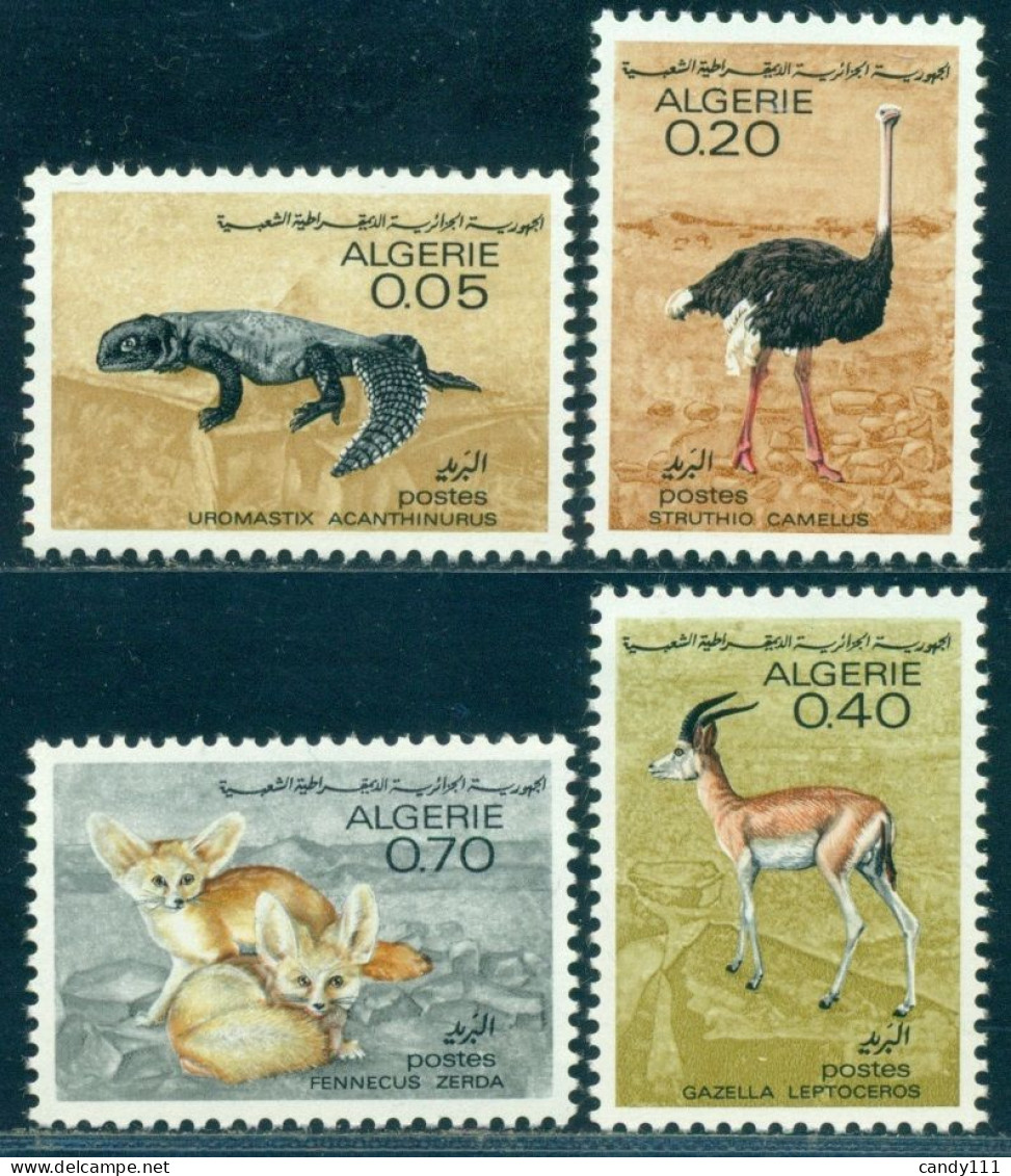 1967 Sahara Animal,spiny-tailed Lizard,Ostrich,gazelle,FennecFox,Algeria,479,MNH - Straussen- Und Laufvögel