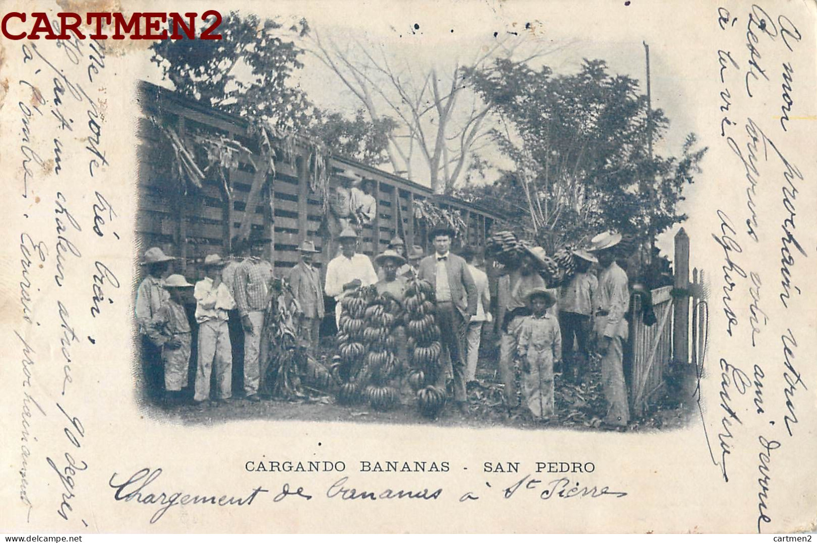 HONDURAS GARGANDO BANANAS SAN PEDRO - Honduras