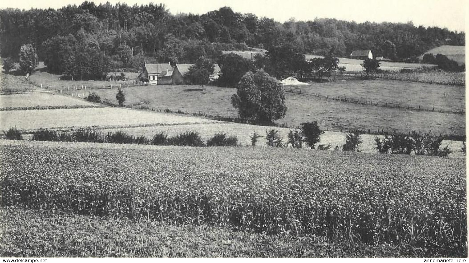 Amougies Panorama - Kluisbergen