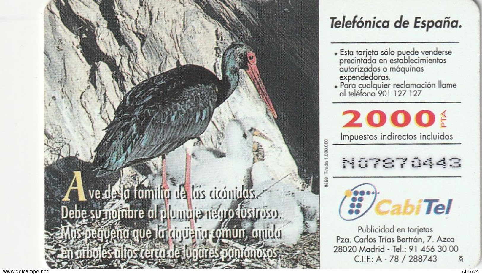 PHONE CARD SPAGNA FAUNA IBERICA  (CV6956 - Emisiones Básicas