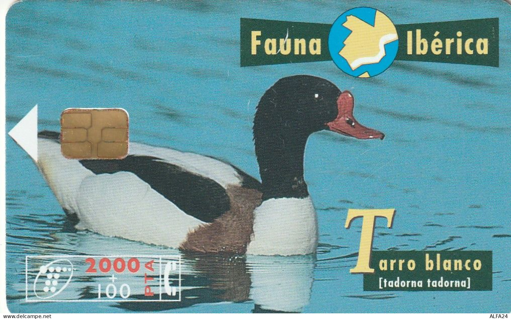 PHONE CARD SPAGNA FAUNA IBERICA  (CV6958 - Emisiones Básicas