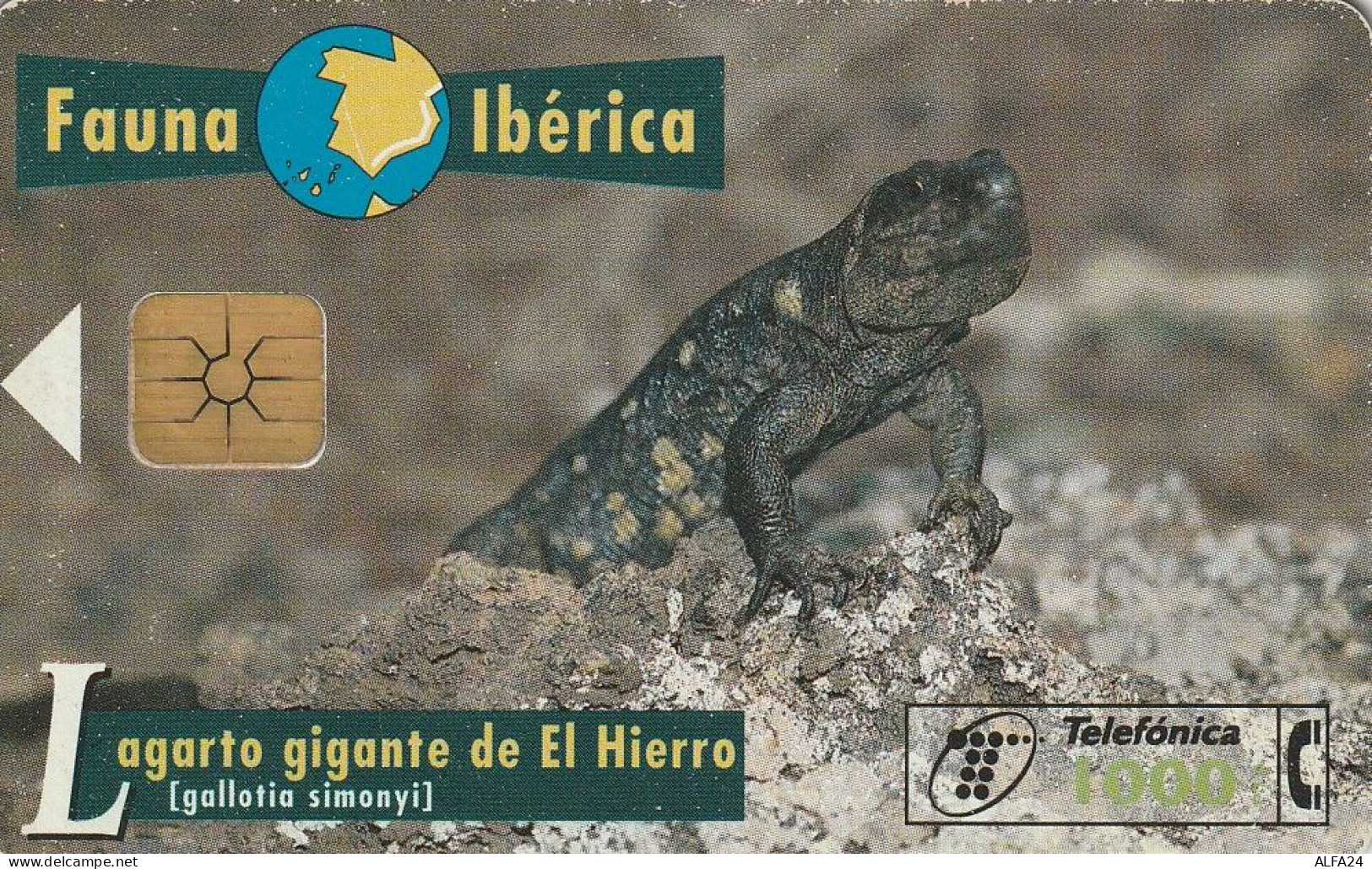 PHONE CARD SPAGNA FAUNA IBERICA  (CV6955 - Basic Issues