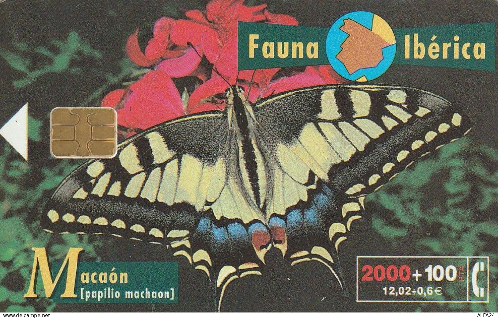 PHONE CARD SPAGNA FAUNA IBERICA  (CV6953 - Emisiones Básicas