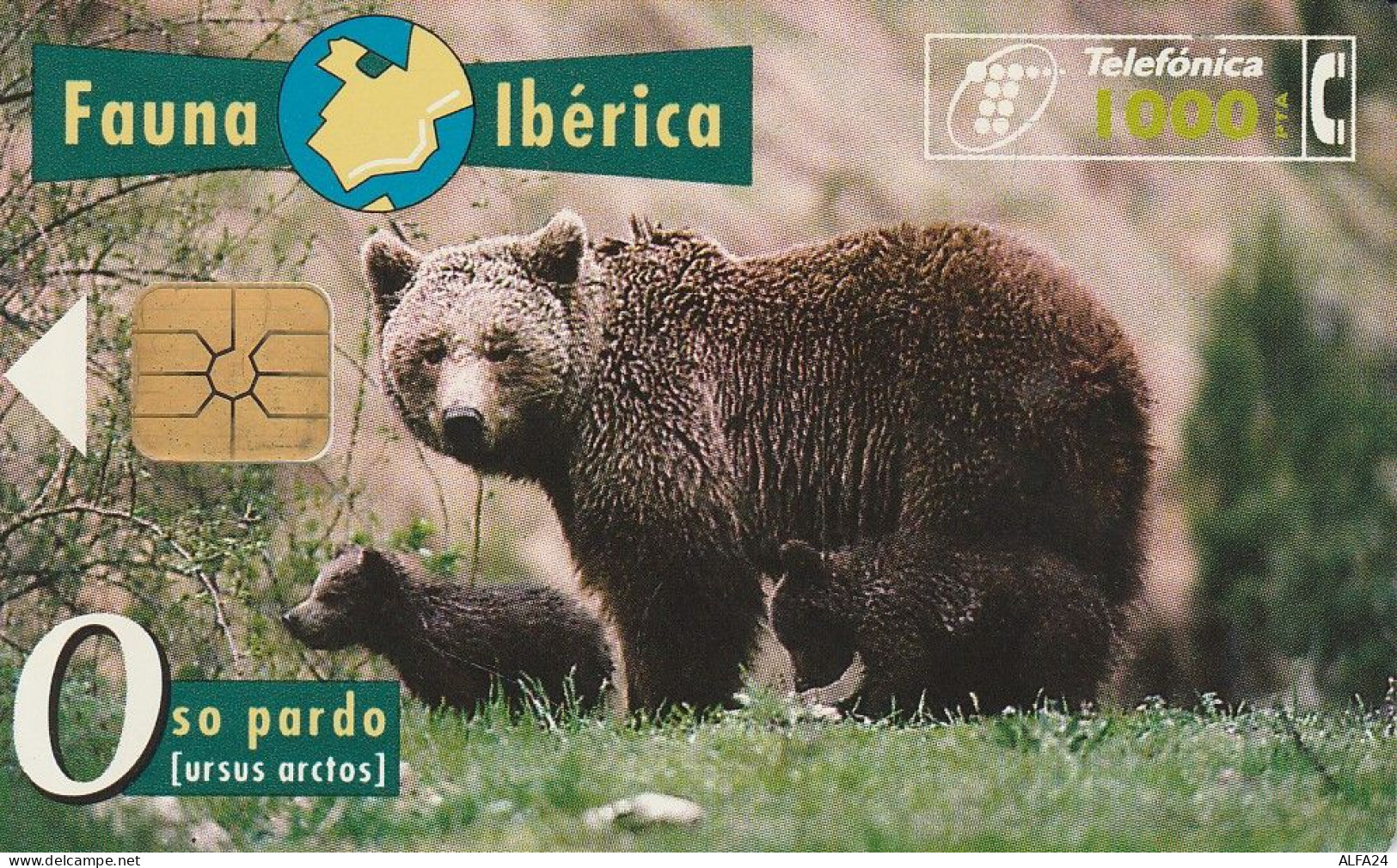 PHONE CARD SPAGNA FAUNA IBERICA  (CV6941 - Emissioni Di Base