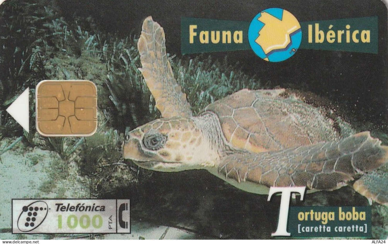 PHONE CARD SPAGNA FAUNA IBERICA  (CV6946 - Emissioni Di Base