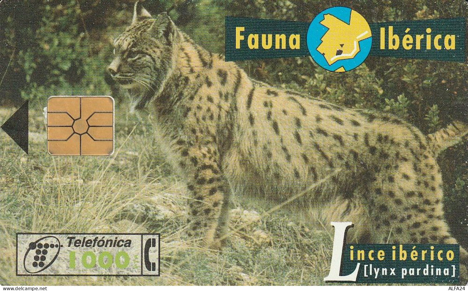 PHONE CARD SPAGNA FAUNA IBERICA  (CV6950 - Basic Issues