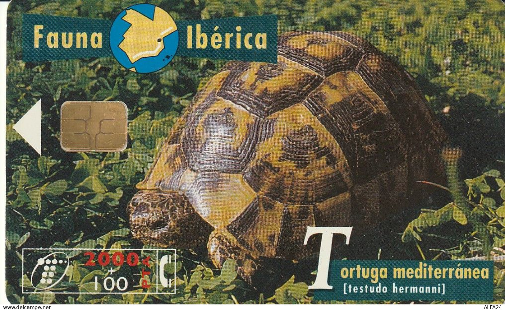 PHONE CARD SPAGNA FAUNA IBERICA  (CV6942 - Emisiones Básicas