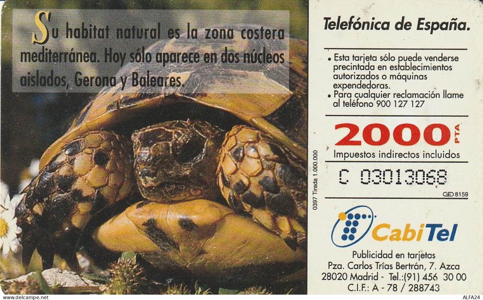 PHONE CARD SPAGNA FAUNA IBERICA  (CV6942 - Emissioni Di Base