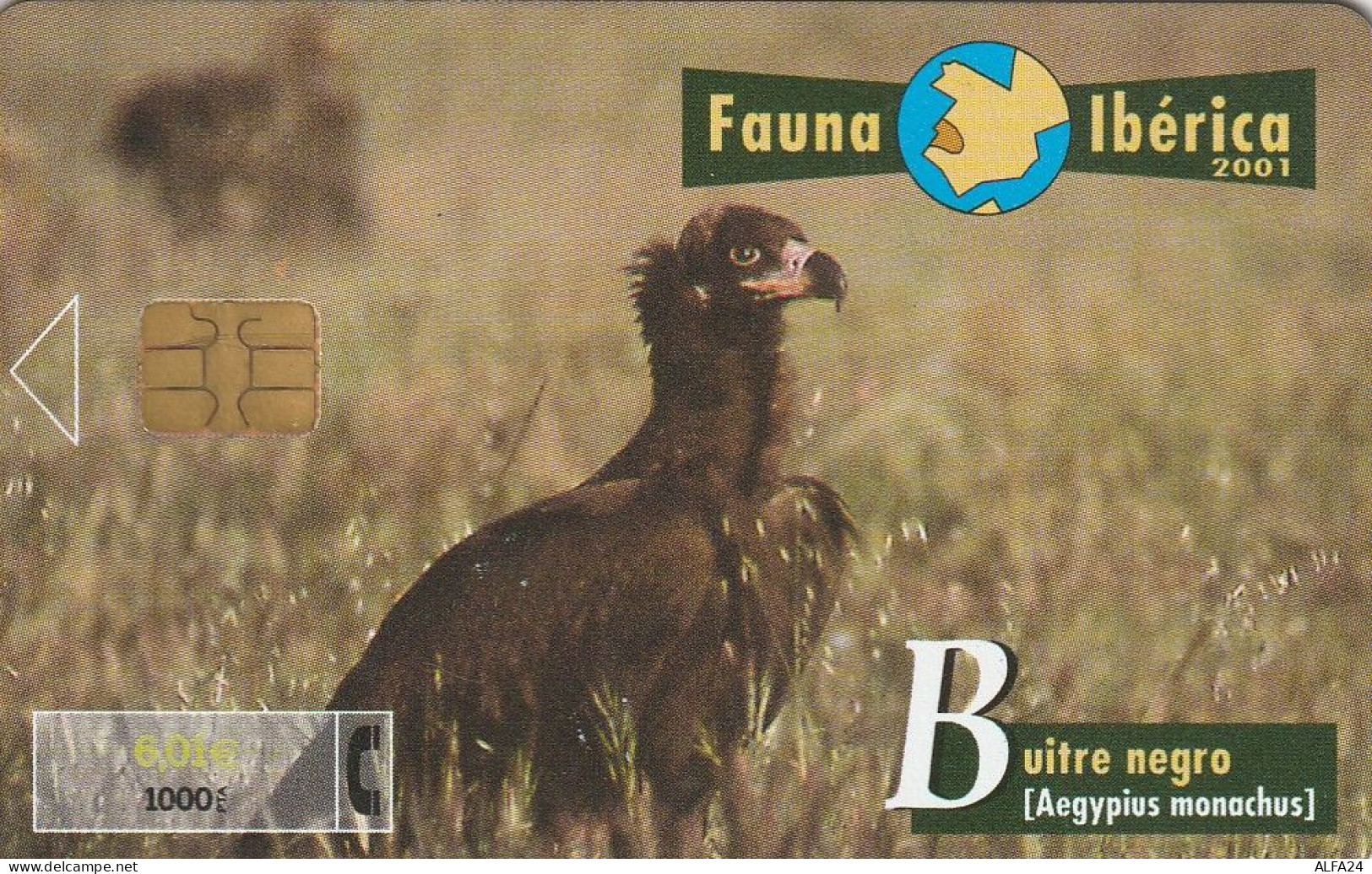 PHONE CARD SPAGNA FAUNA IBERICA  (CV6947 - Emissioni Di Base