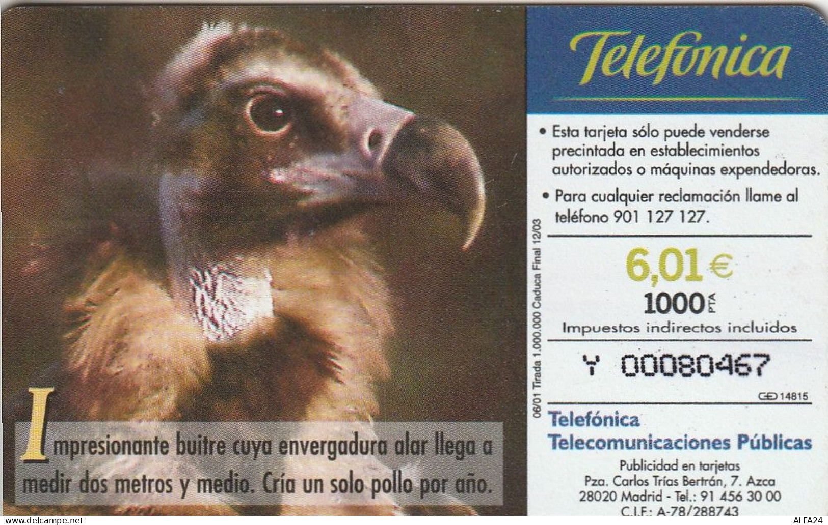 PHONE CARD SPAGNA FAUNA IBERICA  (CV6947 - Basisuitgaven