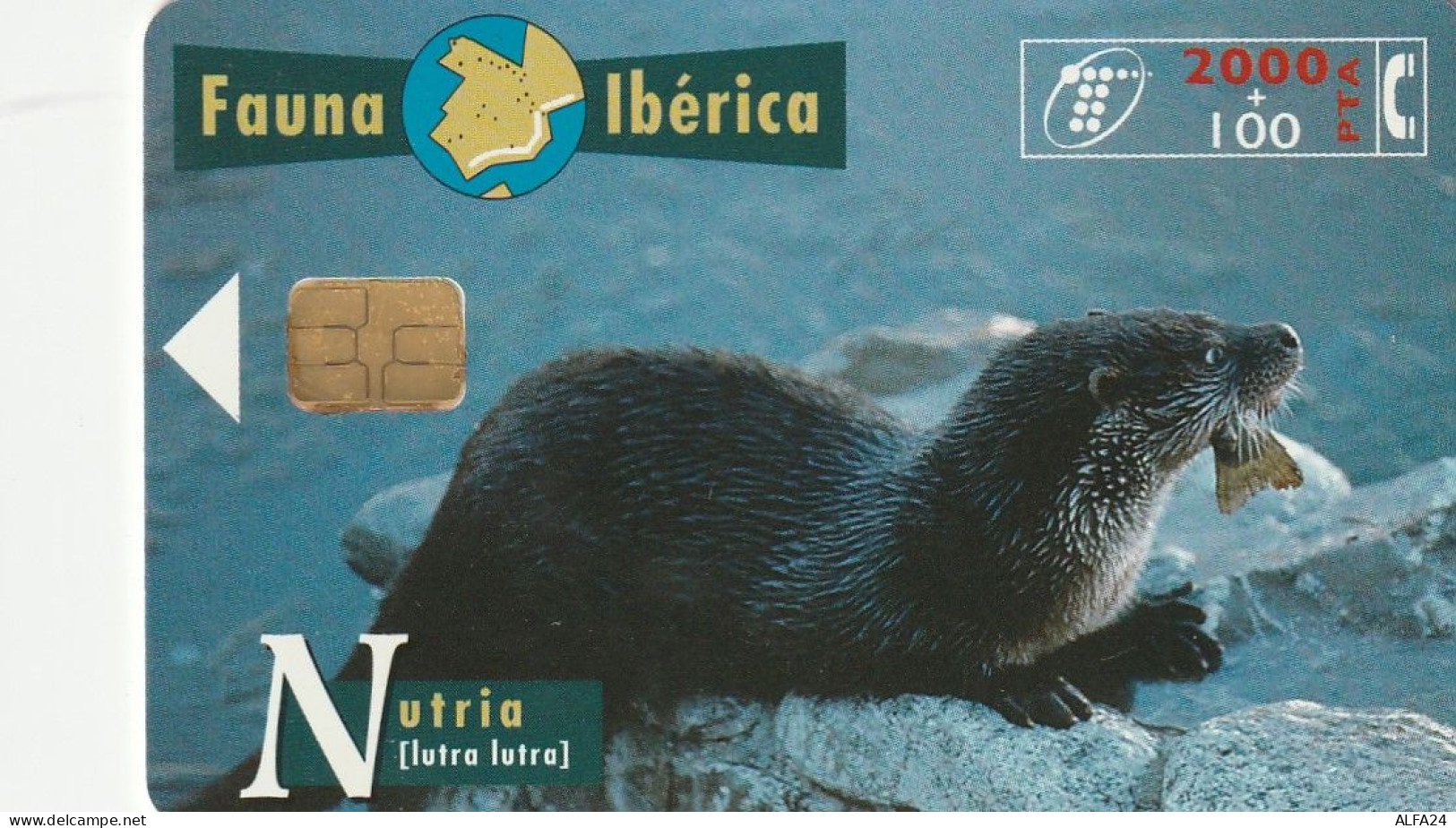 PHONE CARD SPAGNA FAUNA IBERICA  (CV6940 - Emisiones Básicas