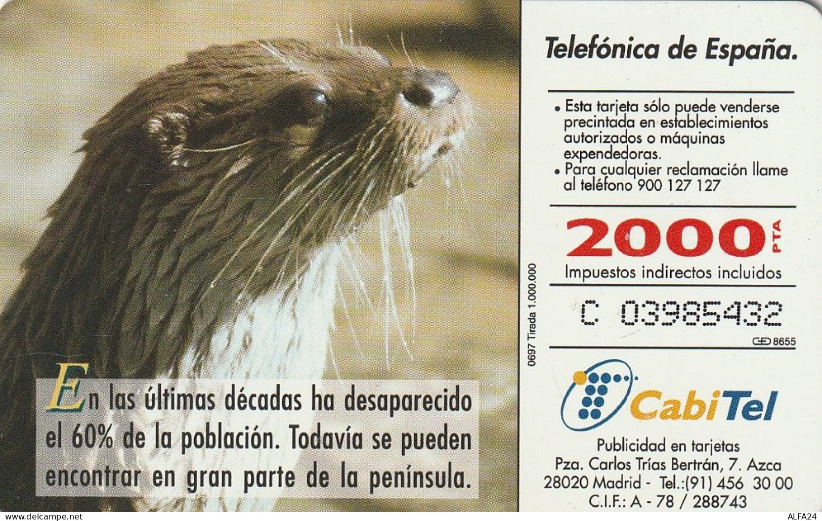 PHONE CARD SPAGNA FAUNA IBERICA  (CV6940 - Emissioni Di Base