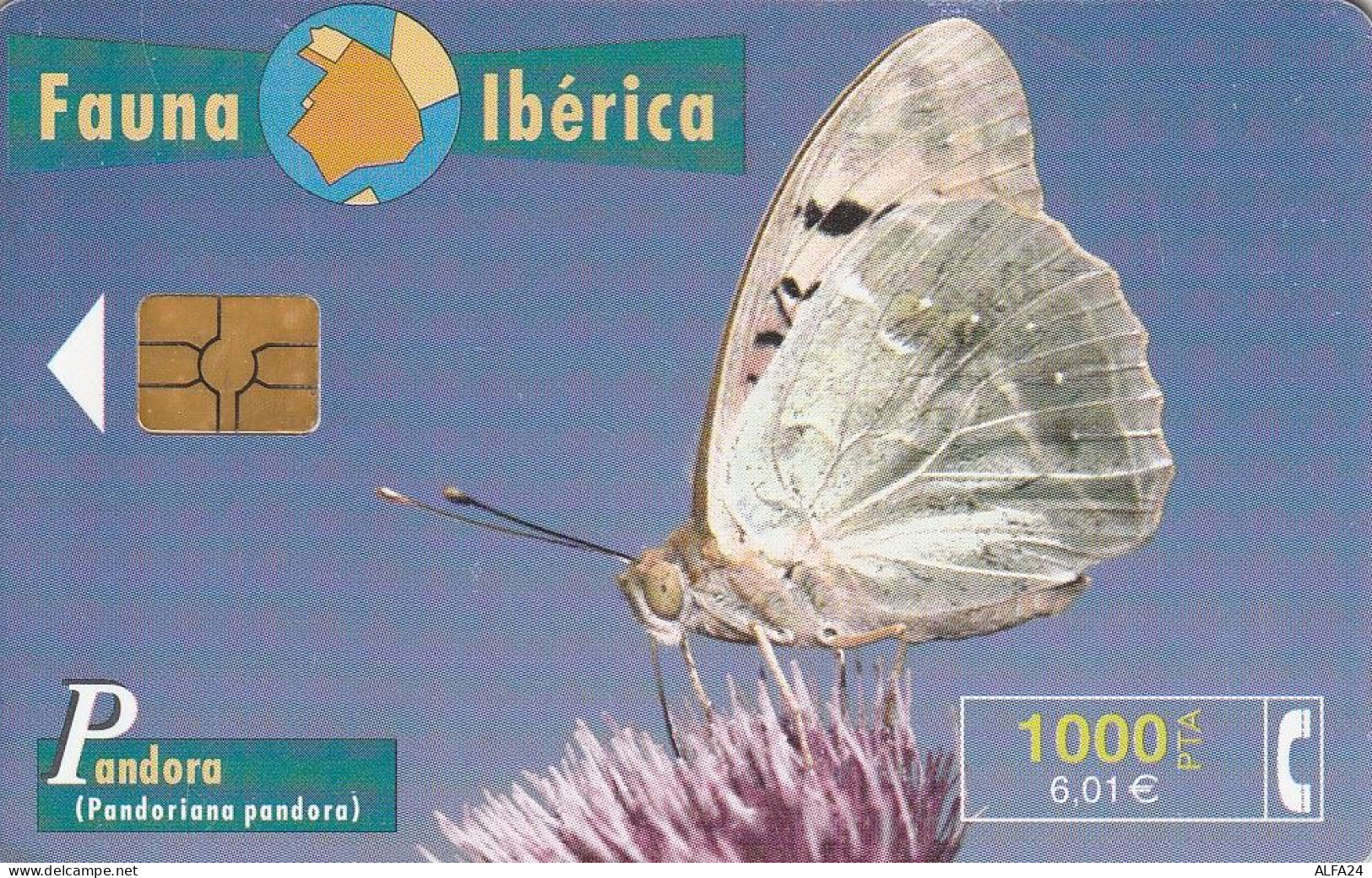 PHONE CARD SPAGNA FAUNA IBERICA  (CV6943 - Basisausgaben