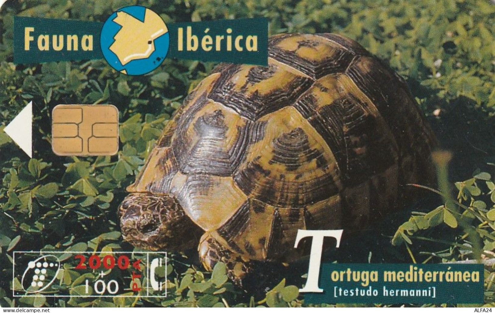 PHONE CARD SPAGNA FAUNA IBERICA  (CV6936 - Emissions Basiques
