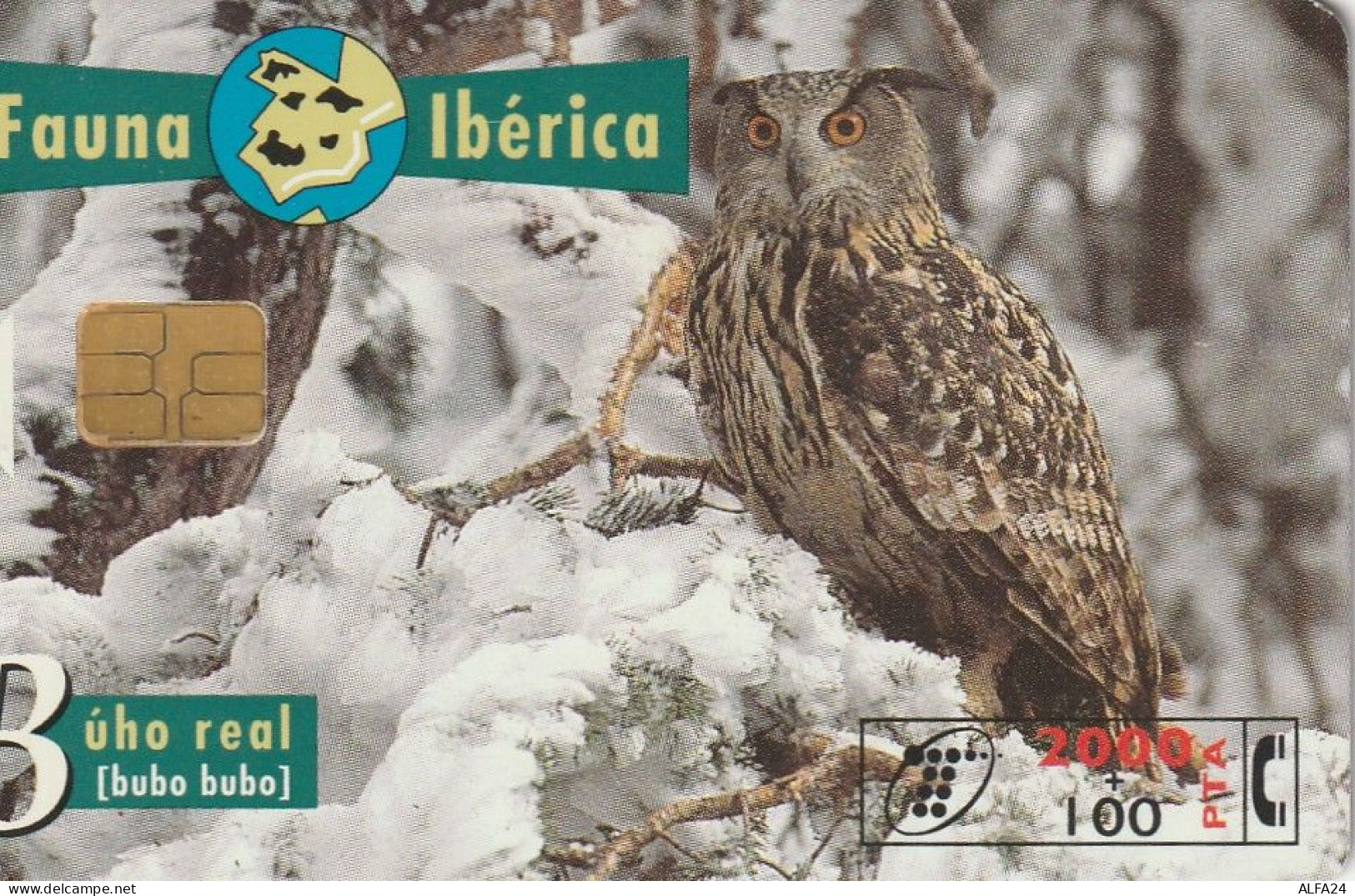PHONE CARD SPAGNA FAUNA IBERICA  (CV6937 - Emisiones Básicas