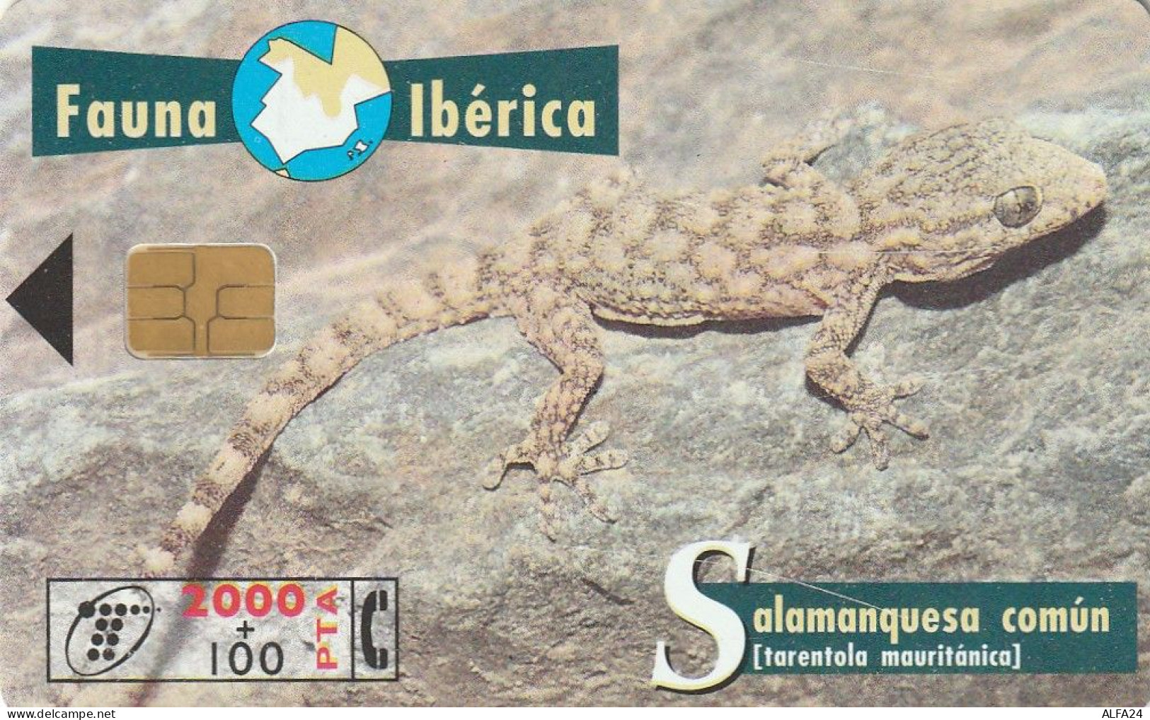 PHONE CARD SPAGNA FAUNA IBERICA  (CV6938 - Basisausgaben