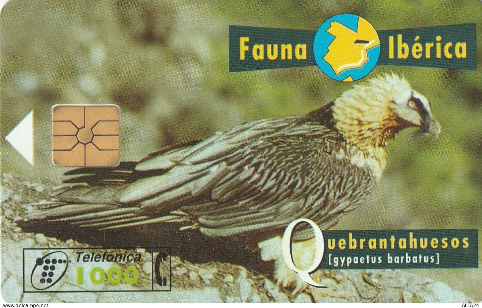 PHONE CARD SPAGNA FAUNA IBERICA  (CV6928 - Emissioni Di Base