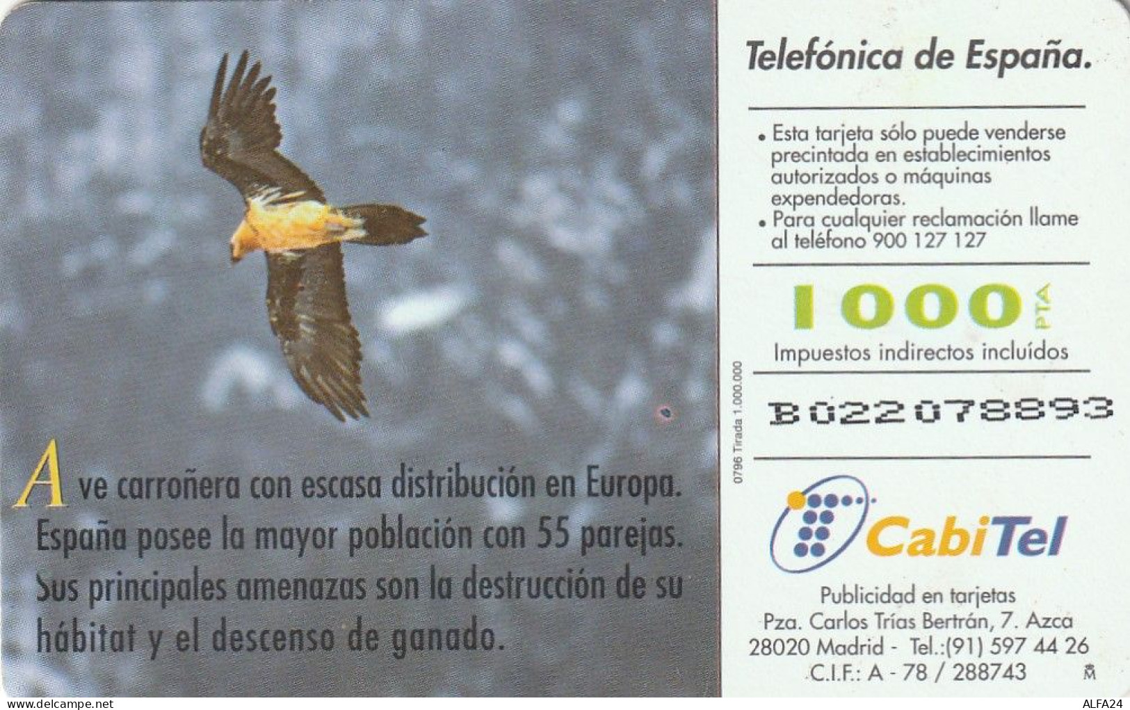 PHONE CARD SPAGNA FAUNA IBERICA  (CV6928 - Emissioni Di Base