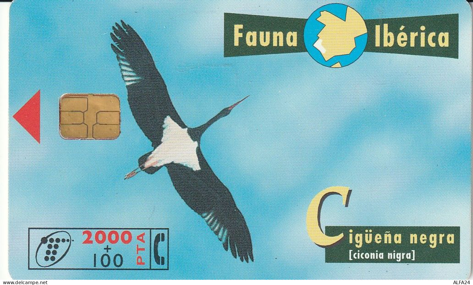 PHONE CARD SPAGNA FAUNA IBERICA  (CV6934 - Emissioni Di Base