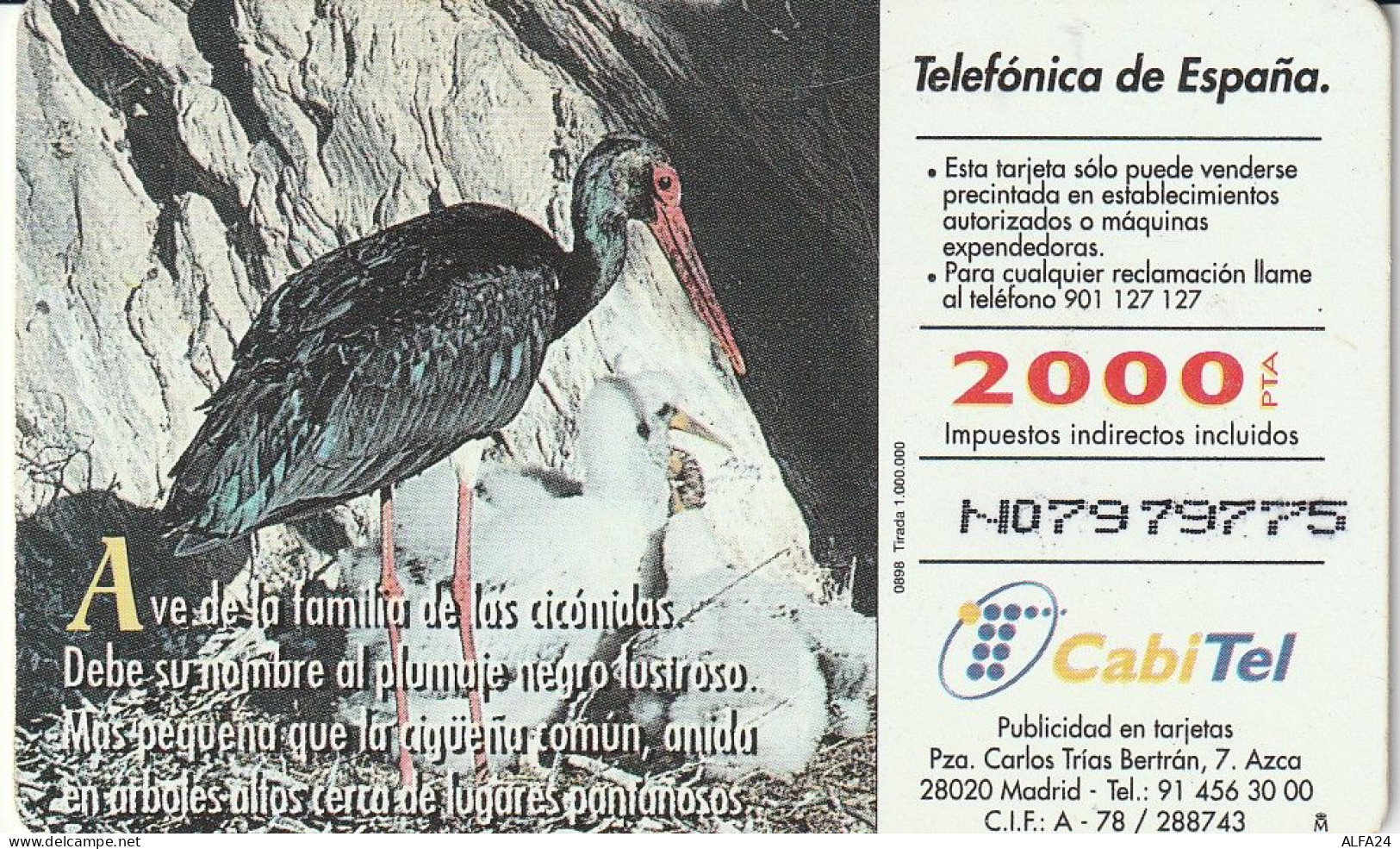 PHONE CARD SPAGNA FAUNA IBERICA  (CV6934 - Emissions Basiques