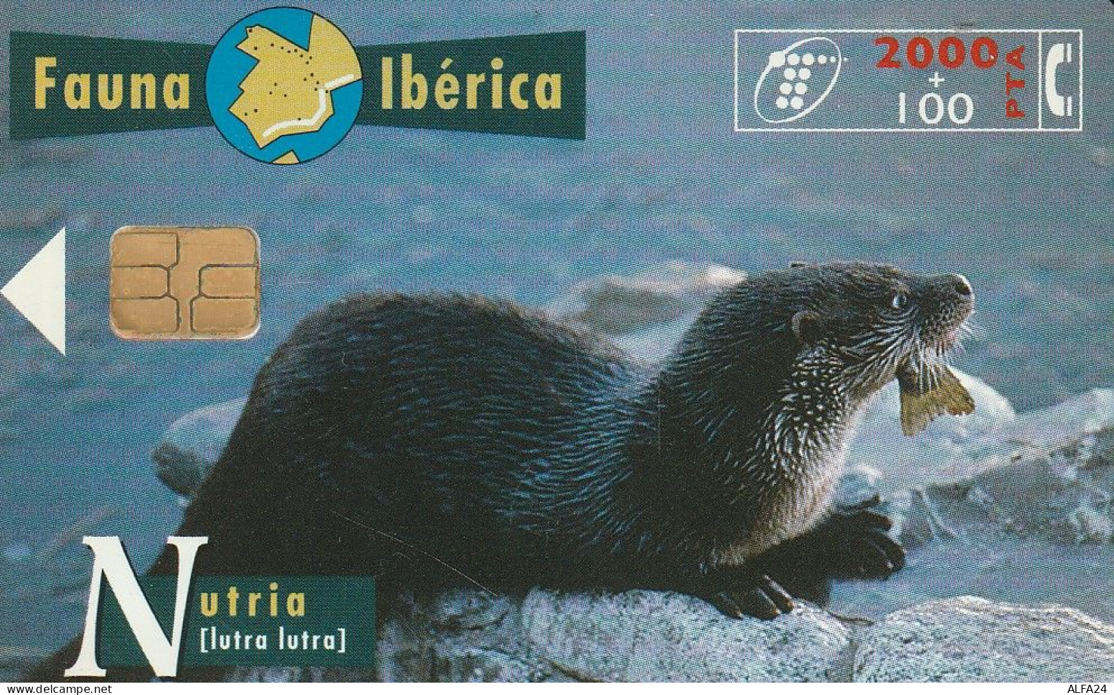 PHONE CARD SPAGNA FAUNA IBERICA  (CV6933 - Emissioni Di Base