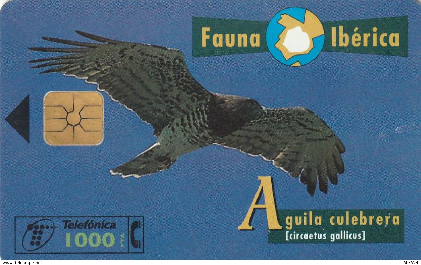 PHONE CARD SPAGNA FAUNA IBERICA  (CV6930 - Emissioni Di Base