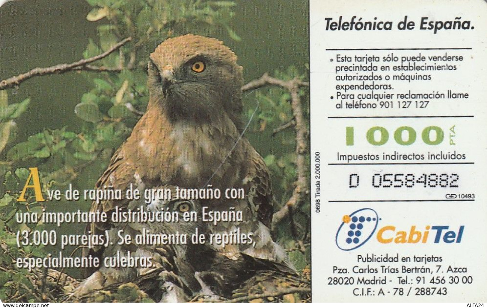 PHONE CARD SPAGNA FAUNA IBERICA  (CV6930 - Emissioni Di Base