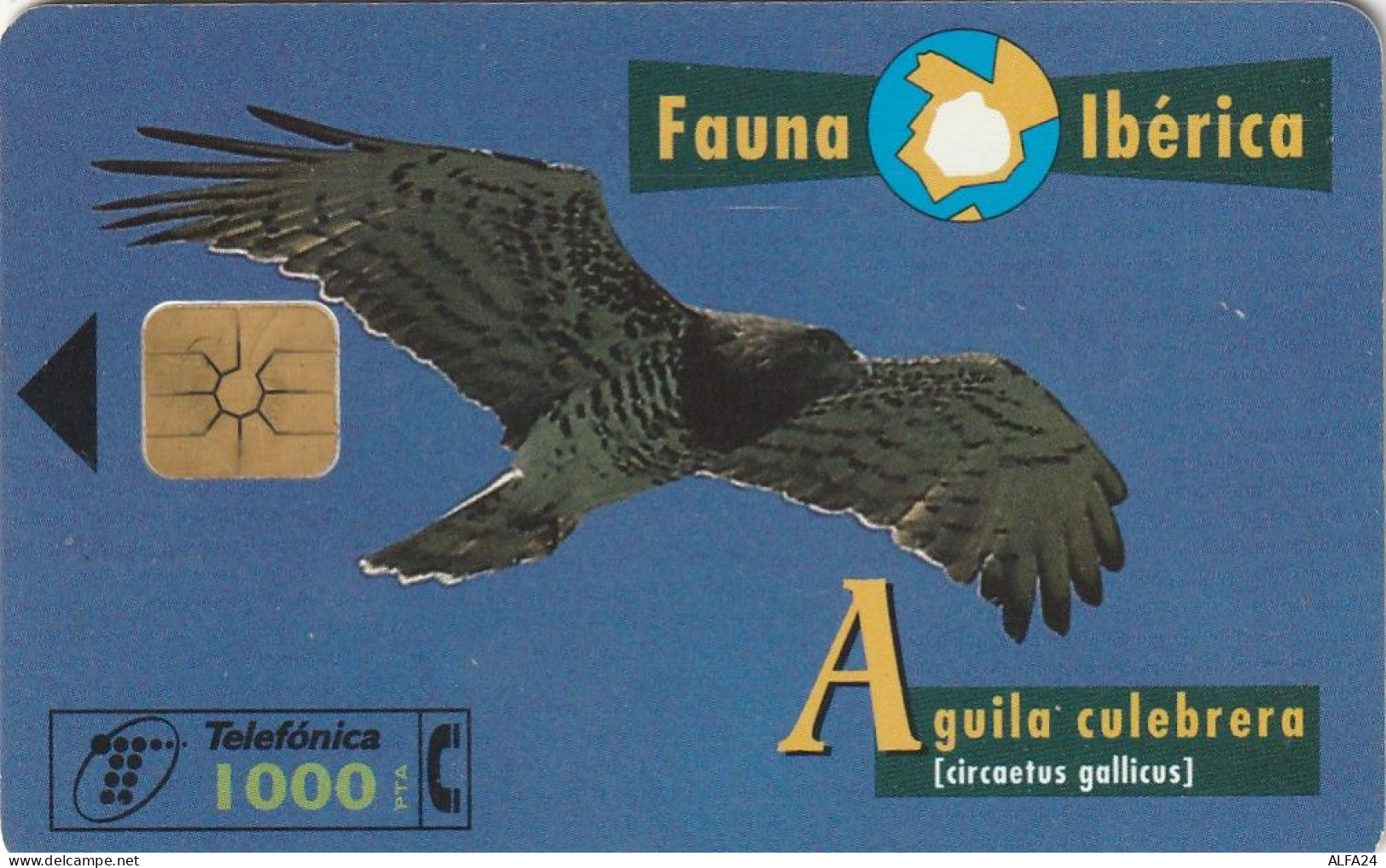 PHONE CARD SPAGNA FAUNA IBERICA  (CV6932 - Emissioni Di Base