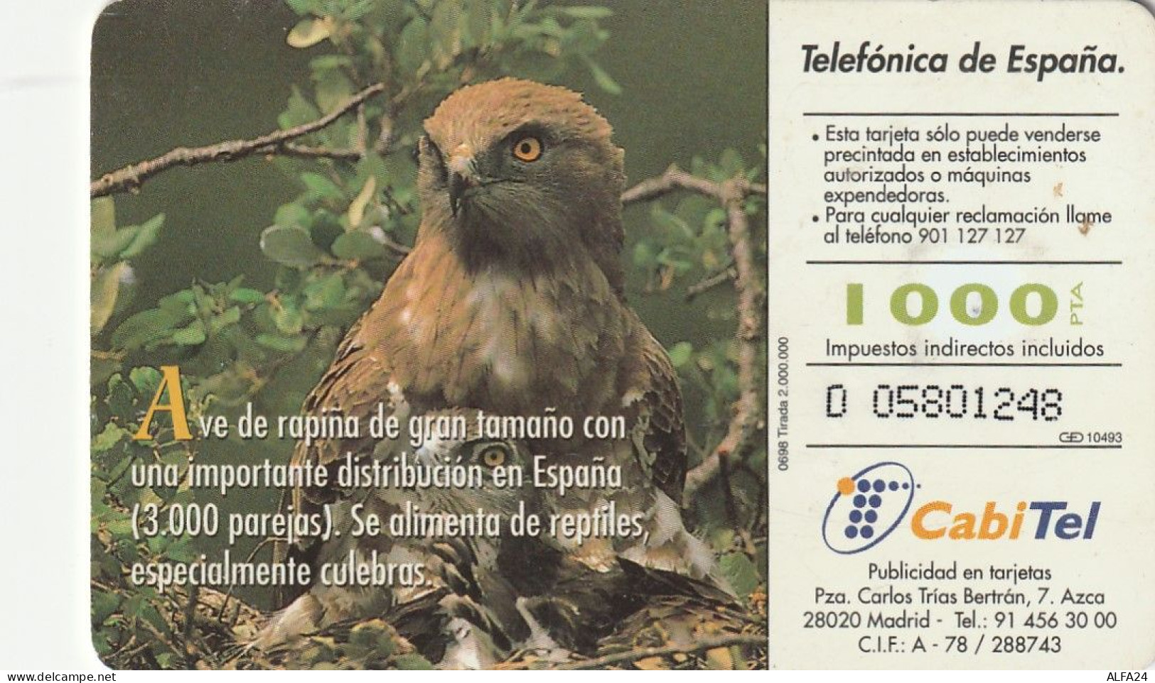 PHONE CARD SPAGNA FAUNA IBERICA  (CV6932 - Emissioni Di Base