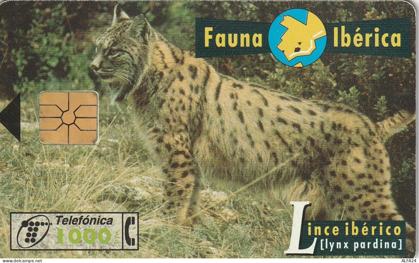 PHONE CARD SPAGNA FAUNA IBERICA  (CV6921 - Emissioni Di Base