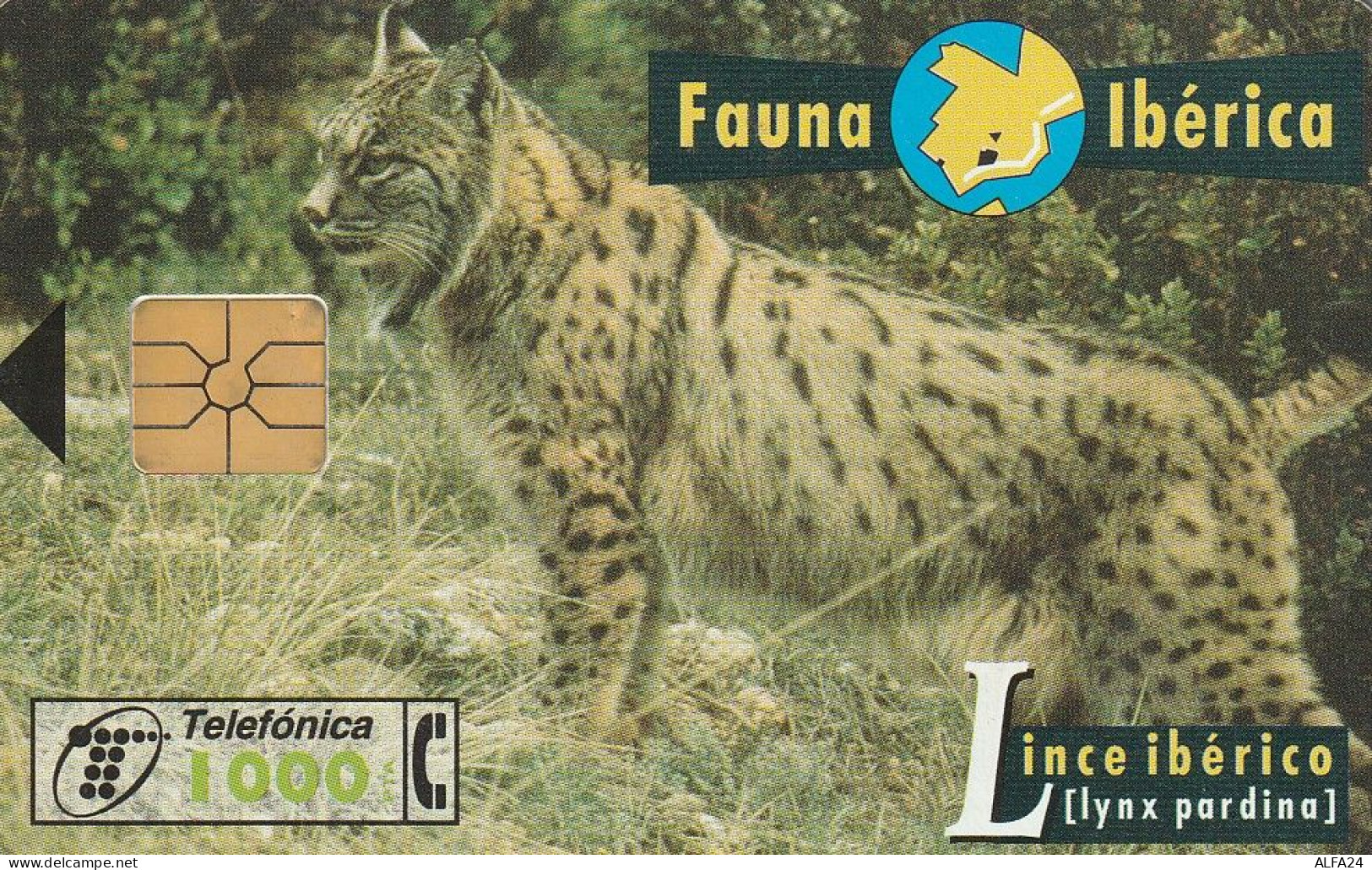 PHONE CARD SPAGNA FAUNA IBERICA  (CV6929 - Emissioni Di Base