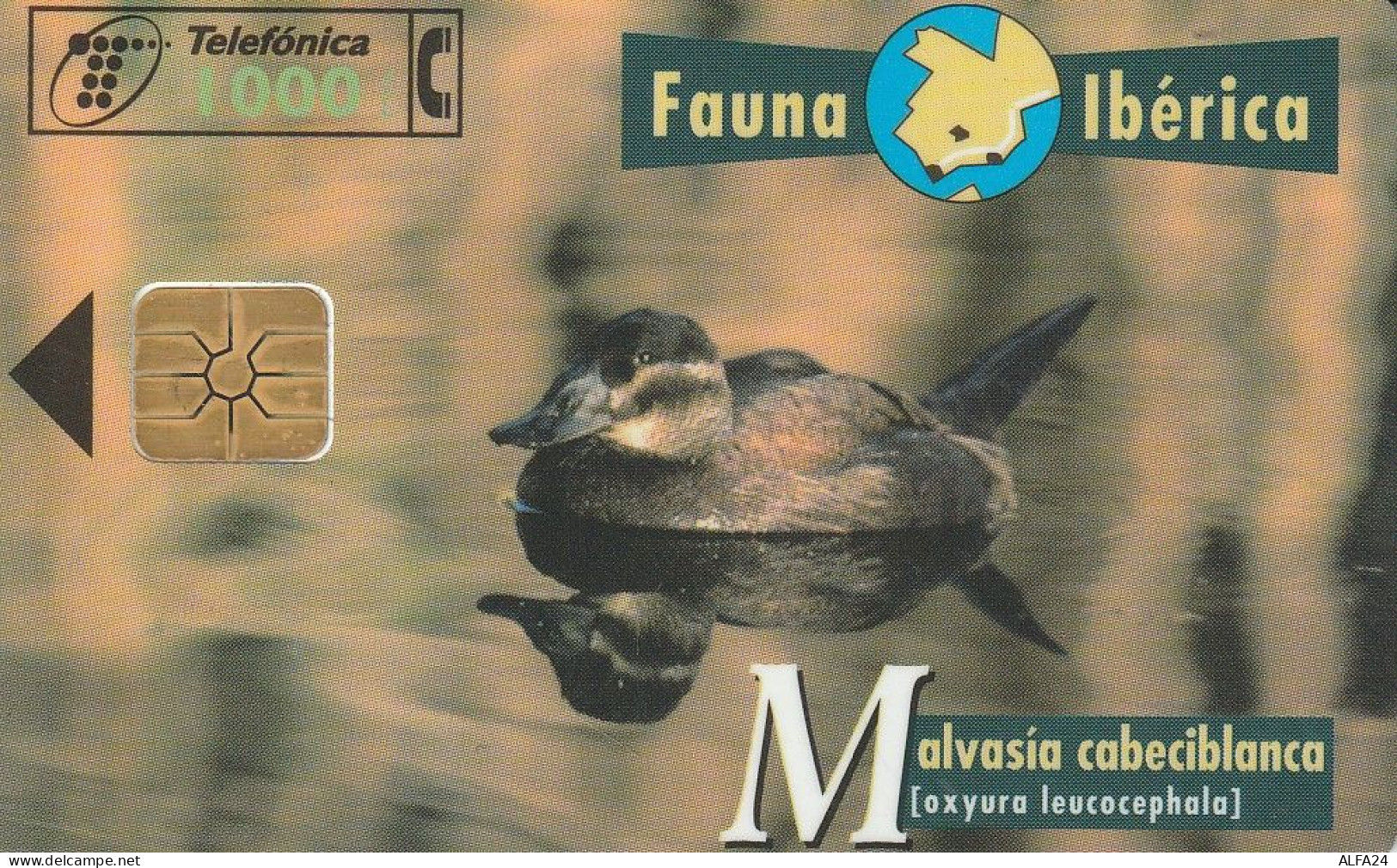 PHONE CARD SPAGNA FAUNA IBERICA  (CV6925 - Emissioni Di Base