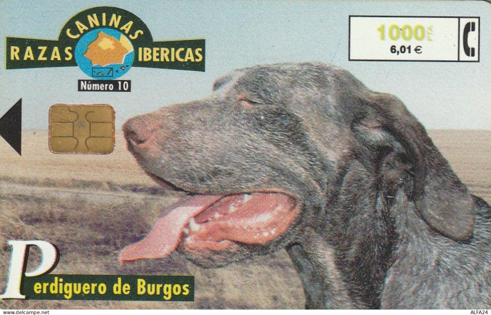 PHONE CARD SPAGNA FAUNA IBERICA  (CV6923 - Emissioni Di Base