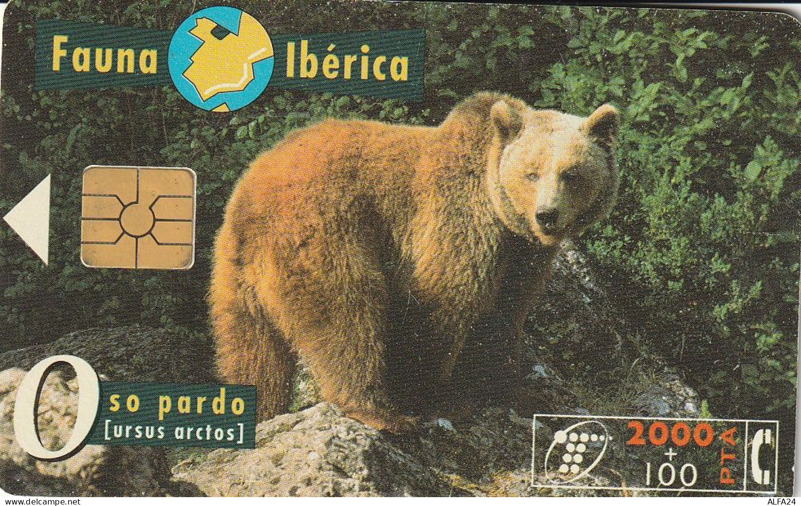 PHONE CARD SPAGNA FAUNA IBERICA  (CV6918 - Basisausgaben