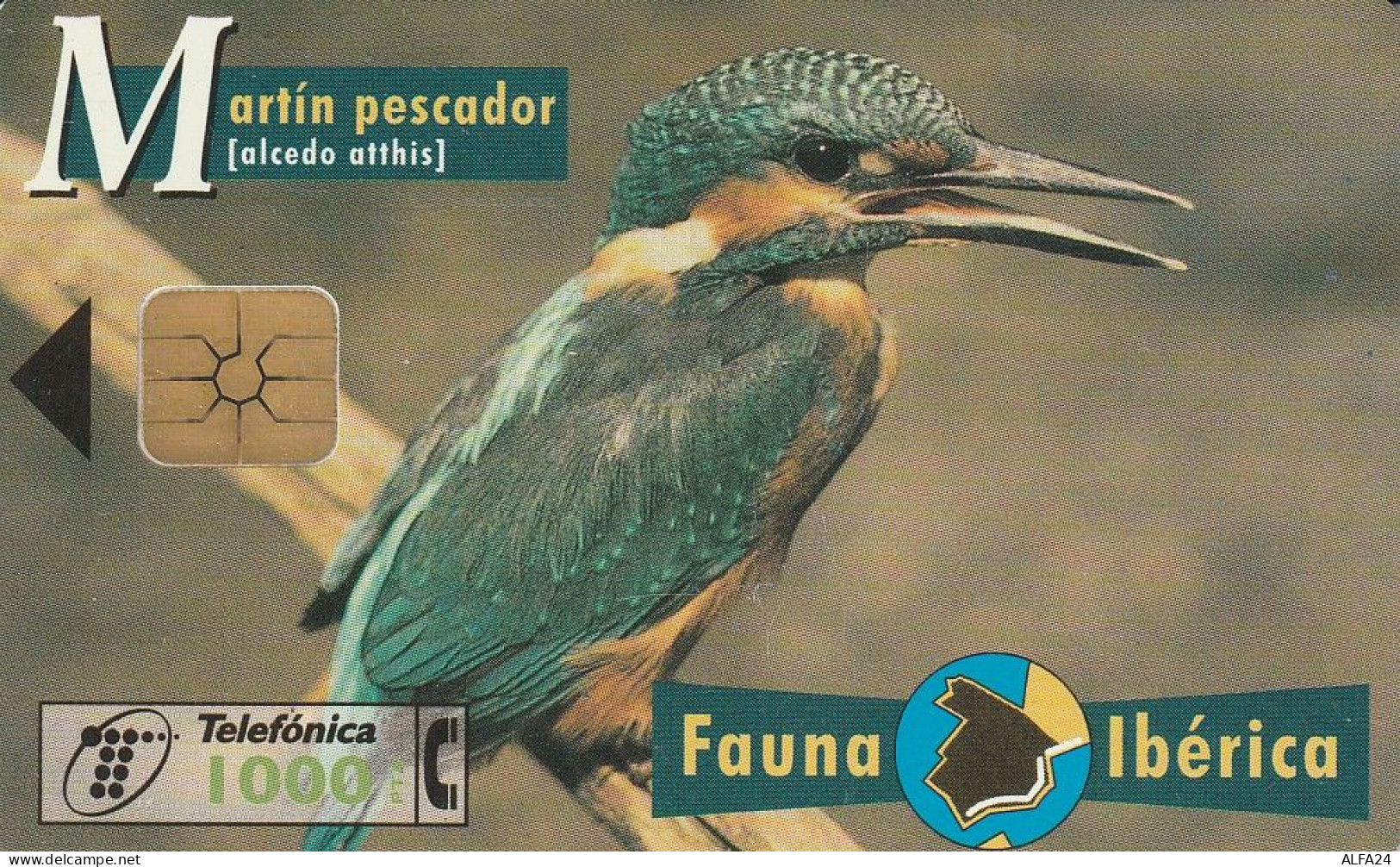 PHONE CARD SPAGNA FAUNA IBERICA  (CV6926 - Emissioni Di Base