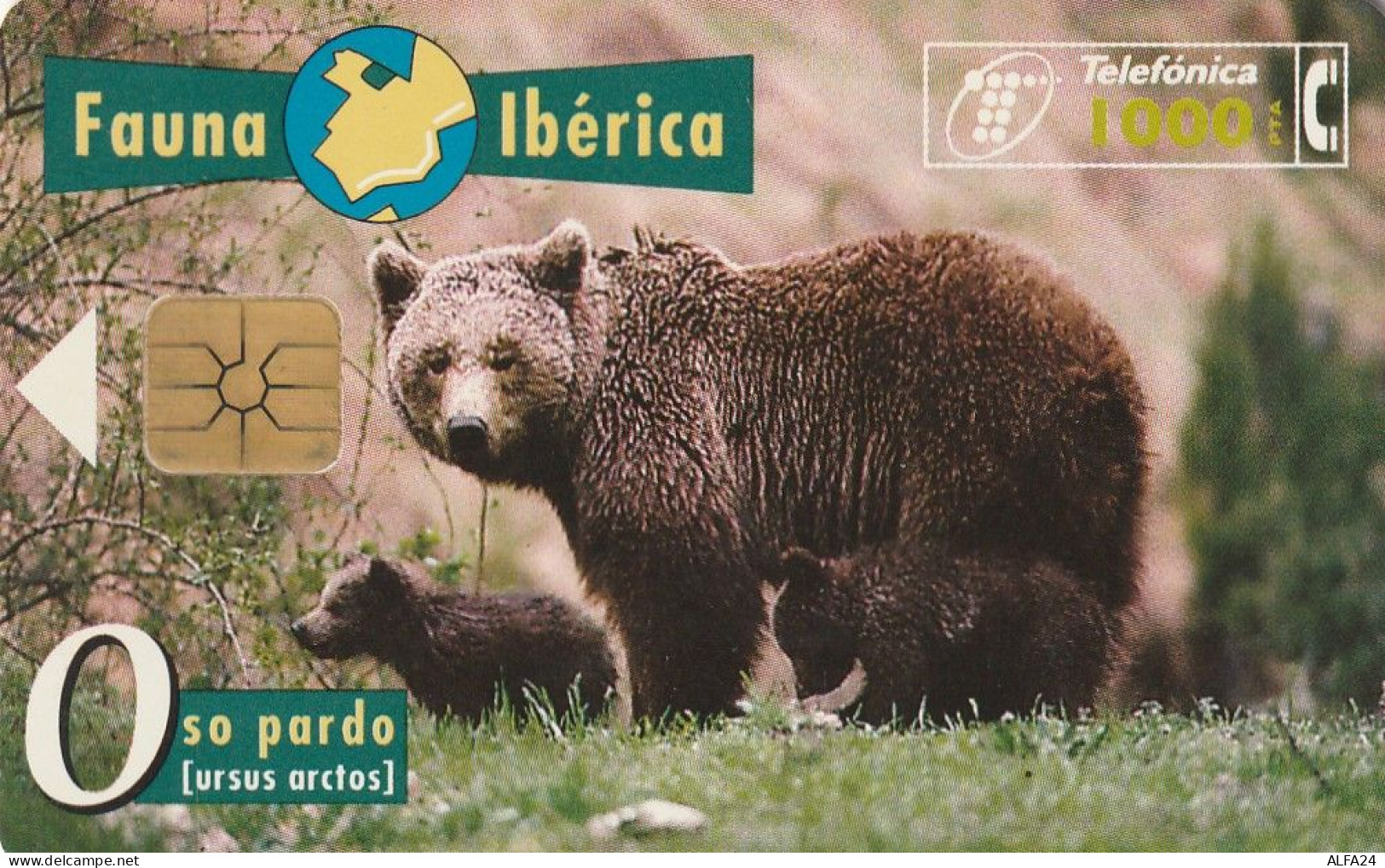 PHONE CARD SPAGNA FAUNA IBERICA  (CV6920 - Emissioni Di Base