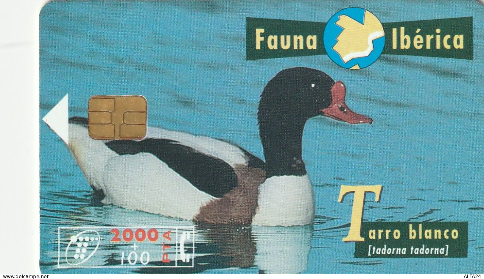 PHONE CARD SPAGNA FAUNA IBERICA  (CV6916 - Emisiones Básicas