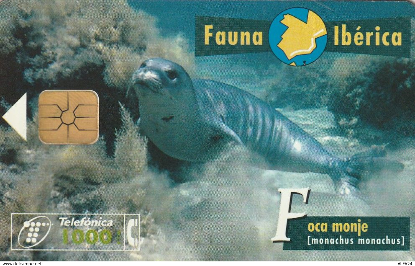 PHONE CARD SPAGNA FAUNA IBERICA  (CV6919 - Basisuitgaven