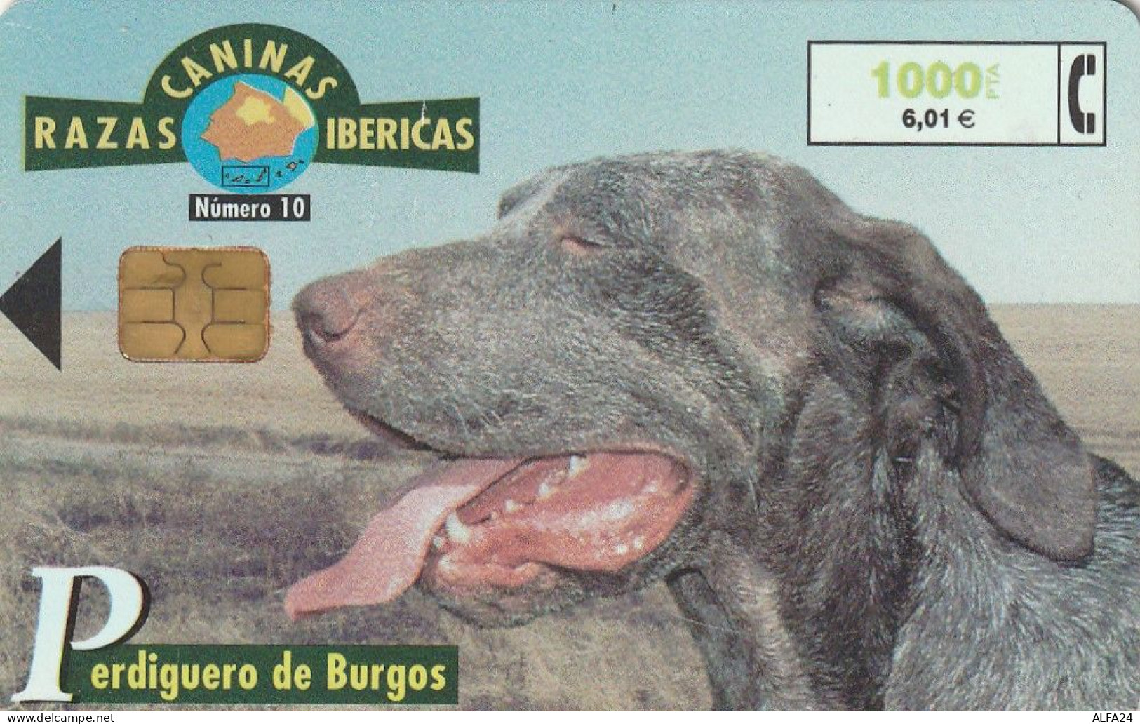 PHONE CARD SPAGNA FAUNA IBERICA  (CV6914 - Emisiones Básicas