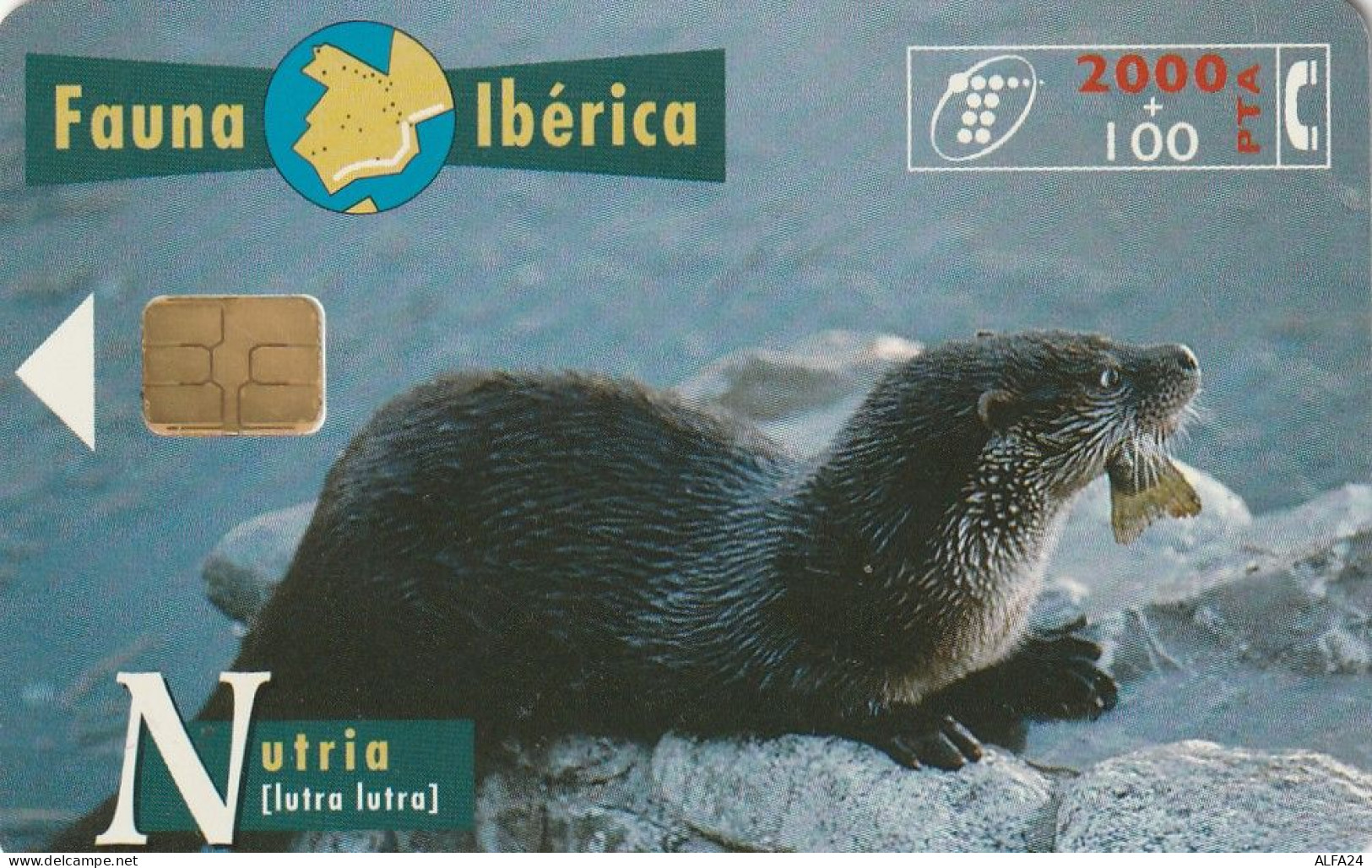 PHONE CARD SPAGNA FAUNA IBERICA  (CV6906 - Emissioni Di Base