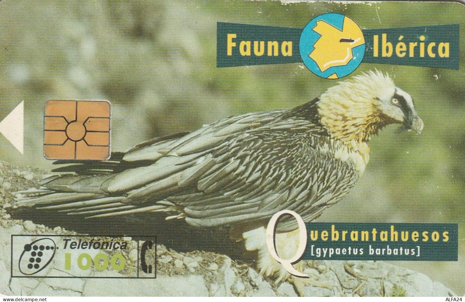 PHONE CARD SPAGNA FAUNA IBERICA  (CV6907 - Emissions Basiques