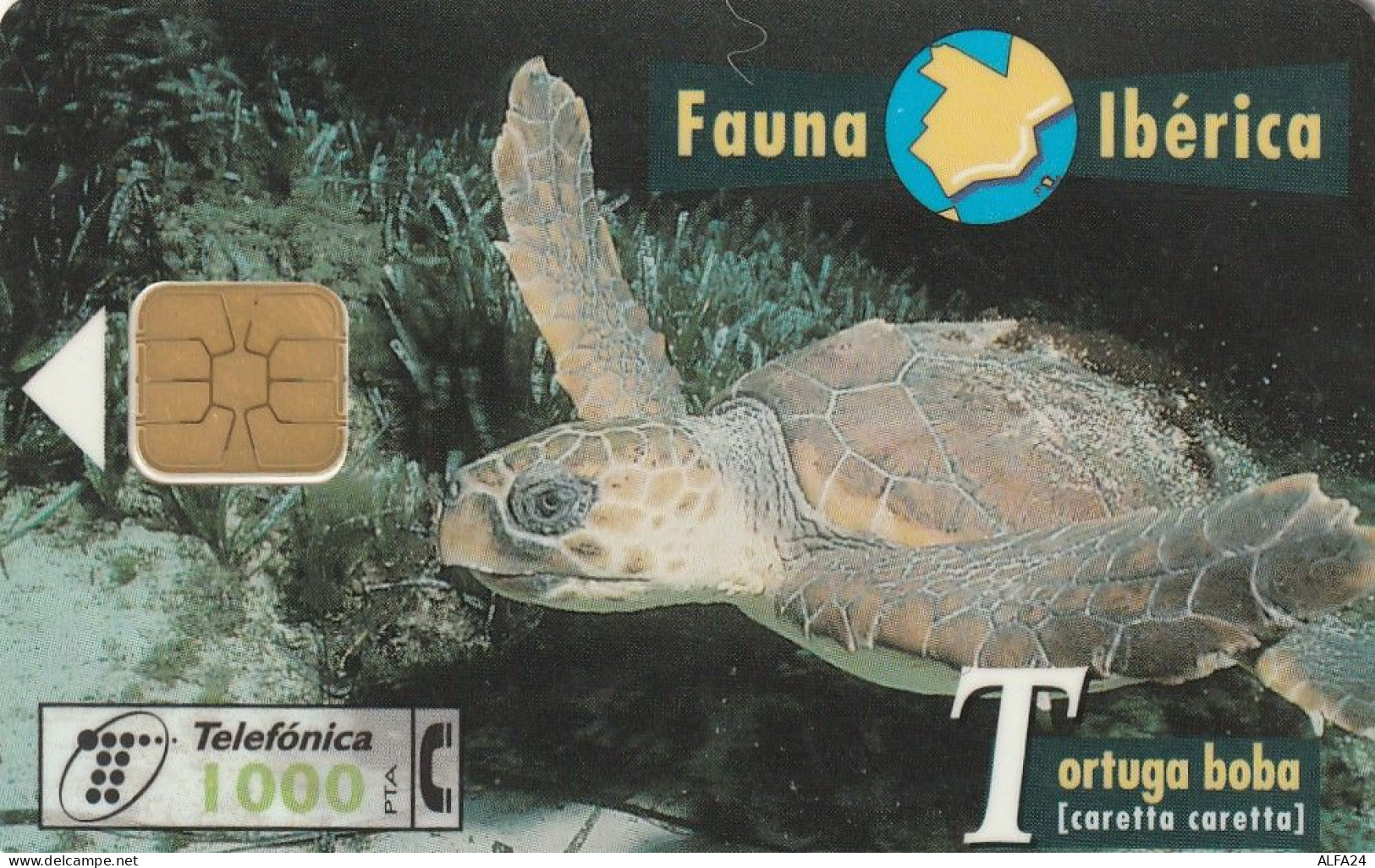 PHONE CARD SPAGNA FAUNA IBERICA  (CV6912 - Emissioni Di Base