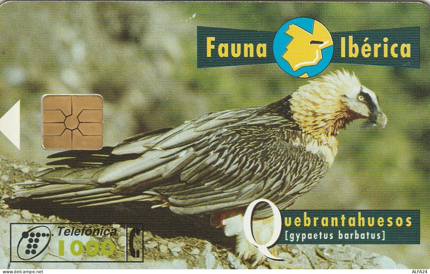 PHONE CARD SPAGNA FAUNA IBERICA  (CV6915 - Emissioni Di Base