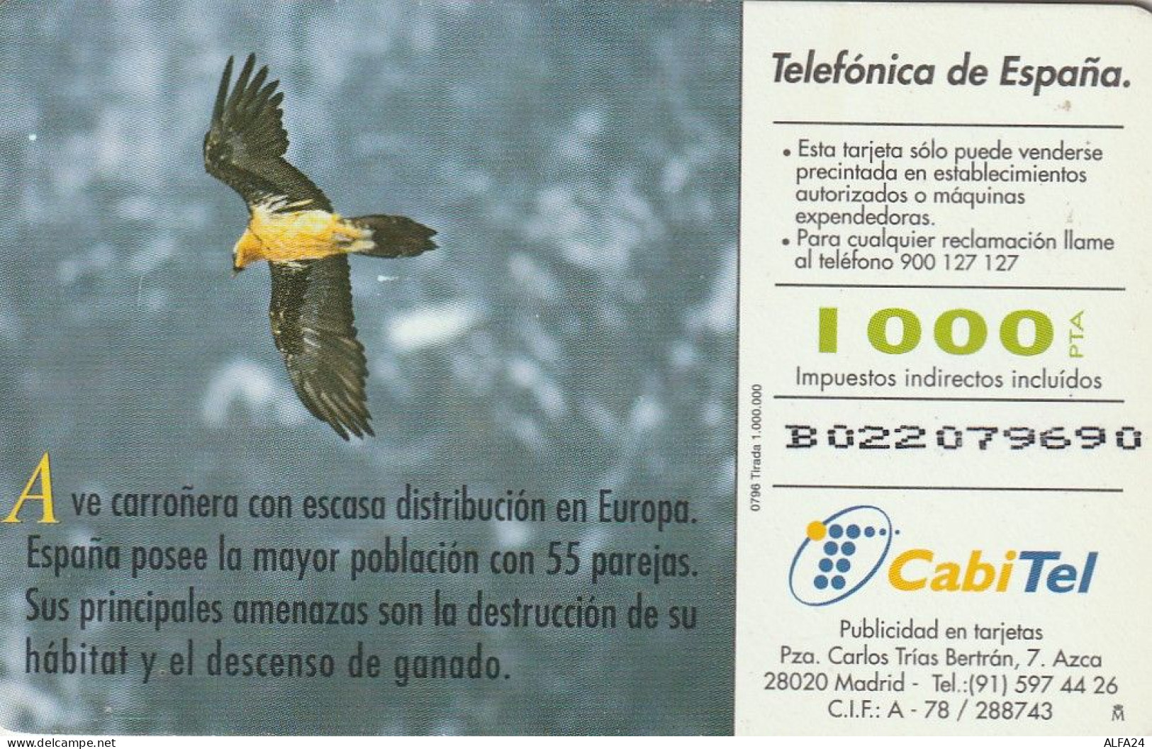 PHONE CARD SPAGNA FAUNA IBERICA  (CV6915 - Basisuitgaven