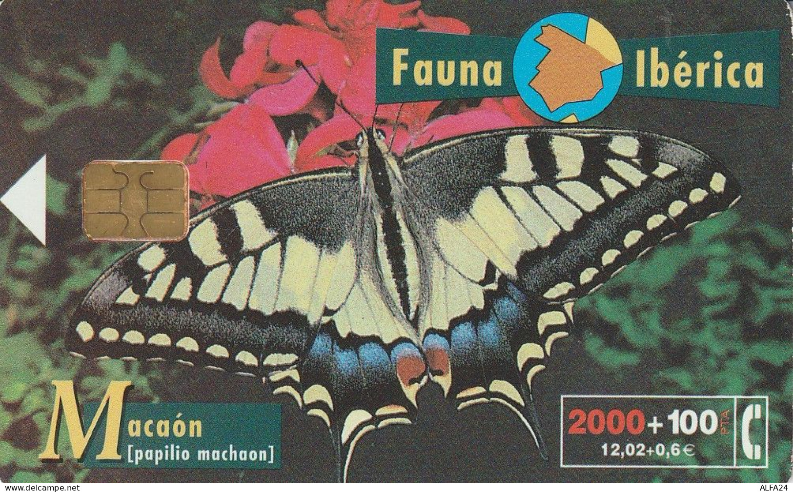 PHONE CARD SPAGNA FAUNA IBERICA  (CV6910 - Basisuitgaven