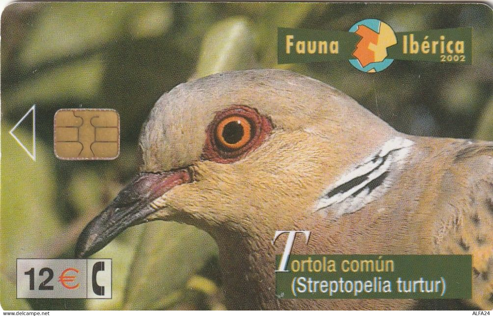 PHONE CARD SPAGNA FAUNA IBERICA  (CV6904 - Emisiones Básicas