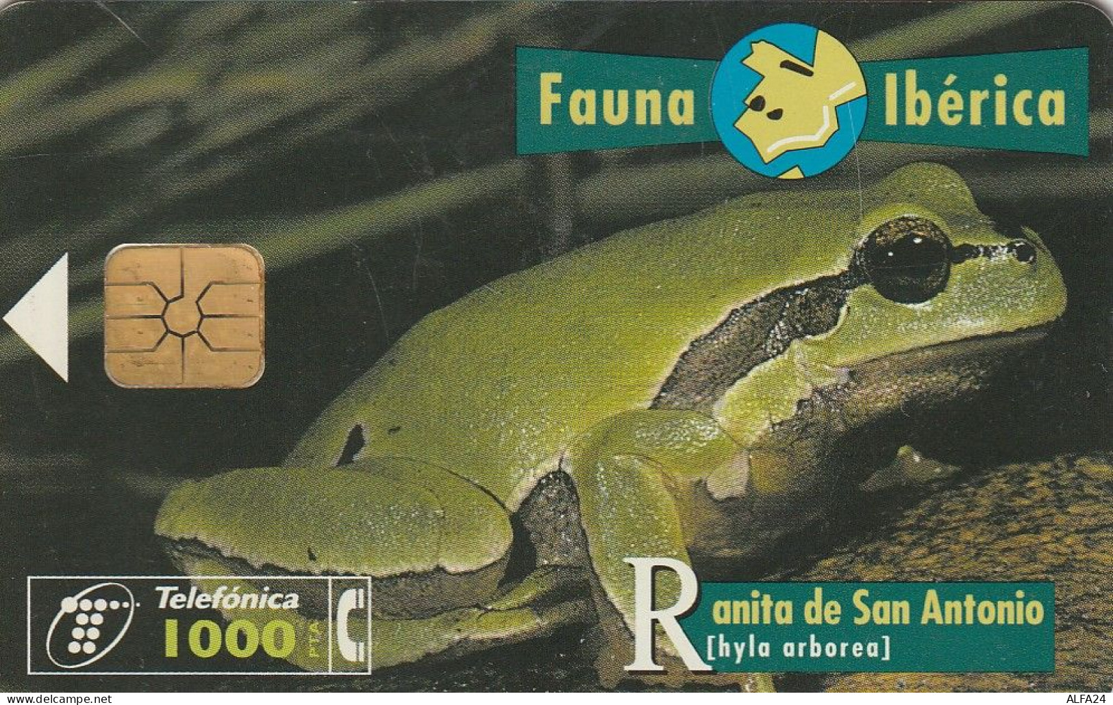 PHONE CARD SPAGNA FAUNA IBERICA  (CV6903 - Basisausgaben